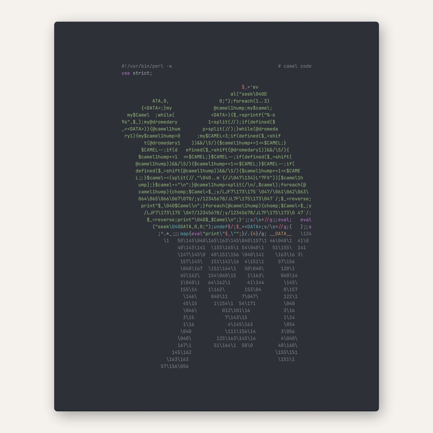Perl Camel