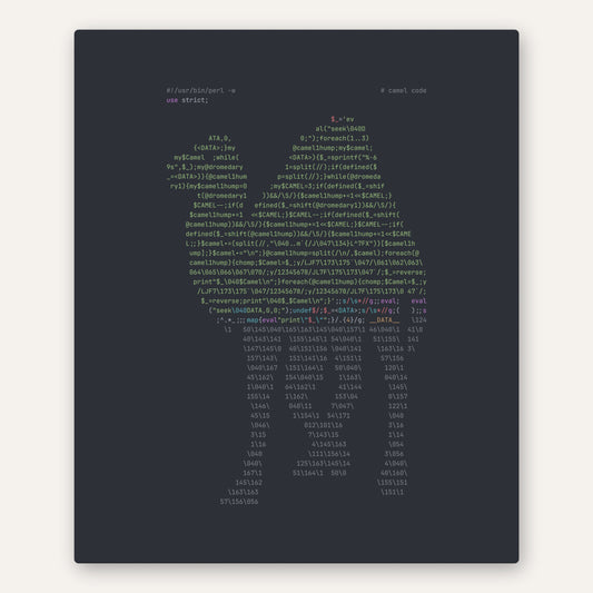 Perl Camel